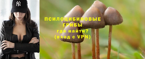 СК Алексин