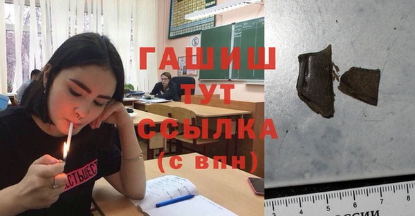гашик Алексеевка