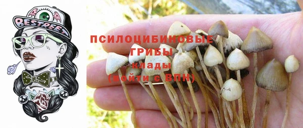 СК Алексин