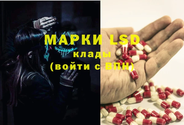 гашик Алексеевка